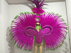 Custom  Carnival Costume