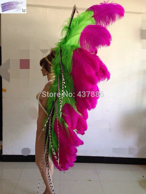 Luxury Colorful Feather Carnival