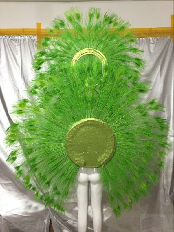 Custom Peacock Costumes