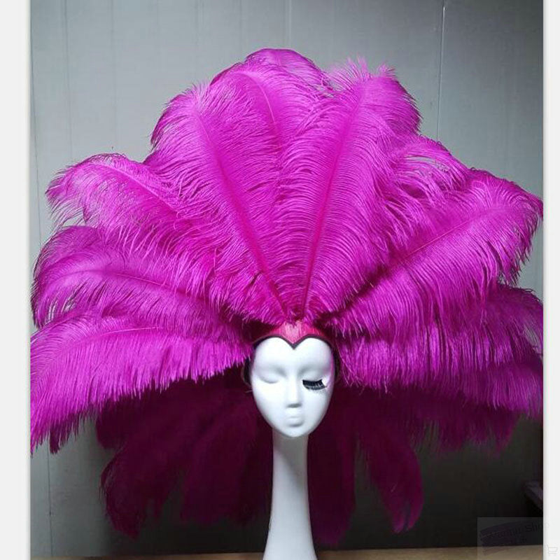 Custom Feathered Carnival Headpieces