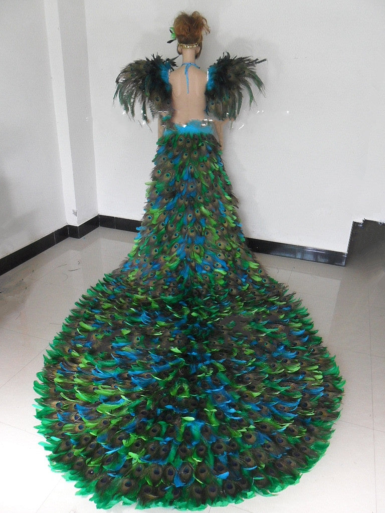 Carnival Black Peacock Feather Costume