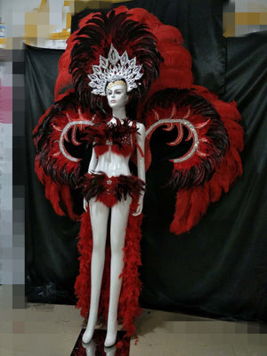 Beautiful Feather Costumes(Yellow Red Rose Red Blue Orange Color)